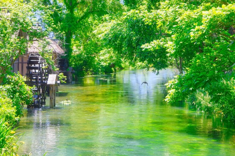 知り合いを追悼するため、信州の夏空の下へ行った