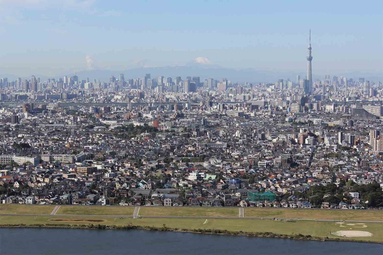 富士山と東京スカイツリーのツーショット！（写真提供：市川市観光政策課）