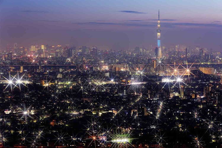 東京スカイツリーのライティングと夜景を堪能（写真提供：市川市観光政策課）
