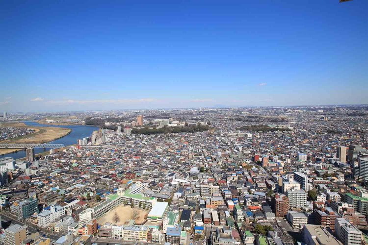 遠くに筑波山がのぞめる国府台方面（写真提供：市川市観光政策課）