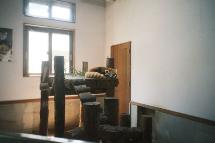 【カメラガールズ】「うつレンズ」レビュー