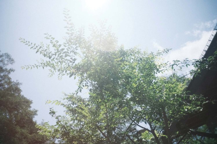 ↑うつレンズで撮影