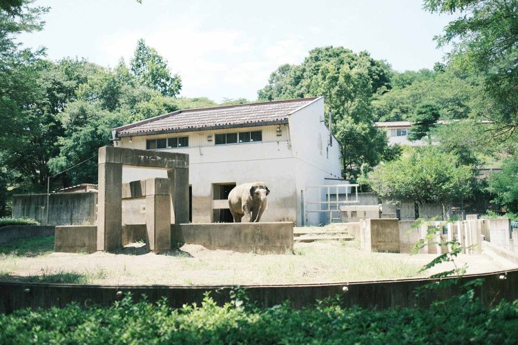 ↑普通のデジタルレンズで撮影