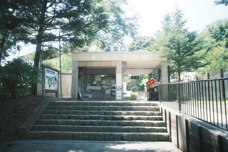 ↑うつレンズで撮影