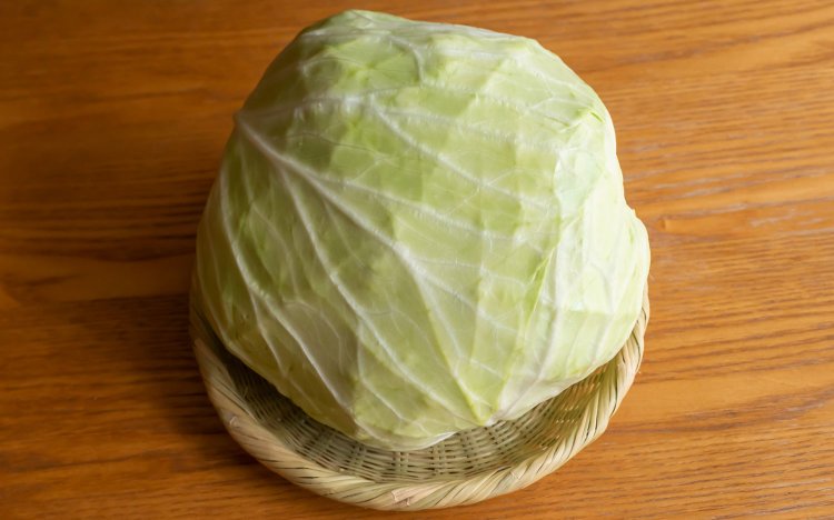 【東京おでんだね】ロールキャベツの調理方法