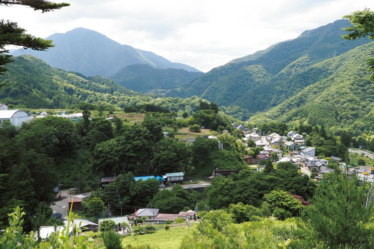 浄水場の西側方面の眺め。