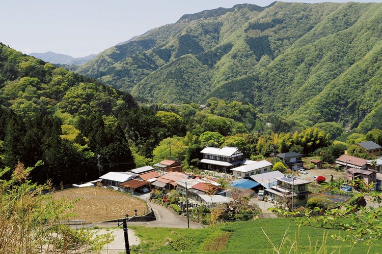 監視哨跡からの青根集落。左手の奥にある大きな山は大室山（1587m）。