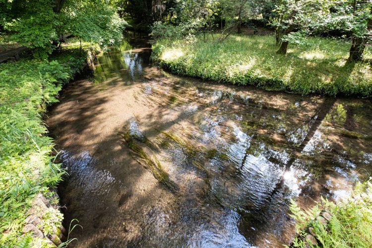 澄んだ流れを目にすれば、すがすがしい気分になること請け合いだ。
