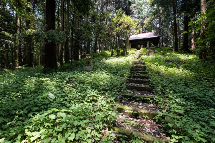 かたわらで官衙の盛衰を見守ってきたであろう浅間神社古墳。