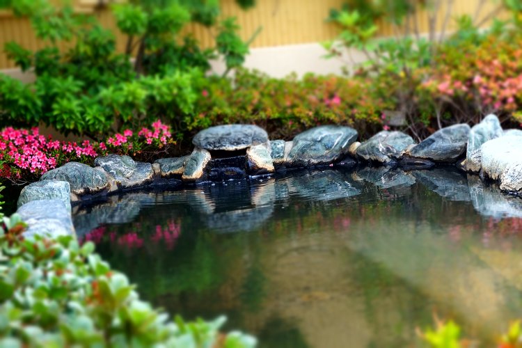 新鮮な生の源泉で気分もリフレッシュ。