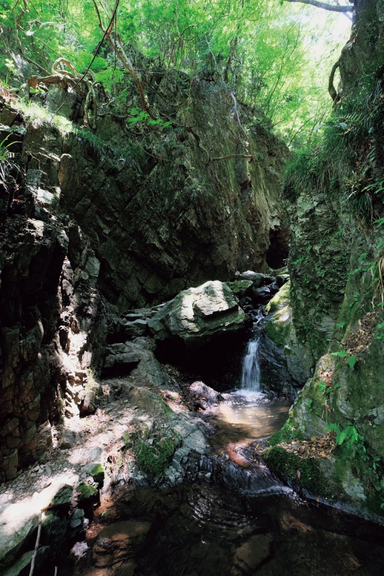 白谷沢の核心部。スケール感のあるゴルジュ帯。東京近郊でこれだけ迫力のあるゴルジュ帯などはないのではないか。
