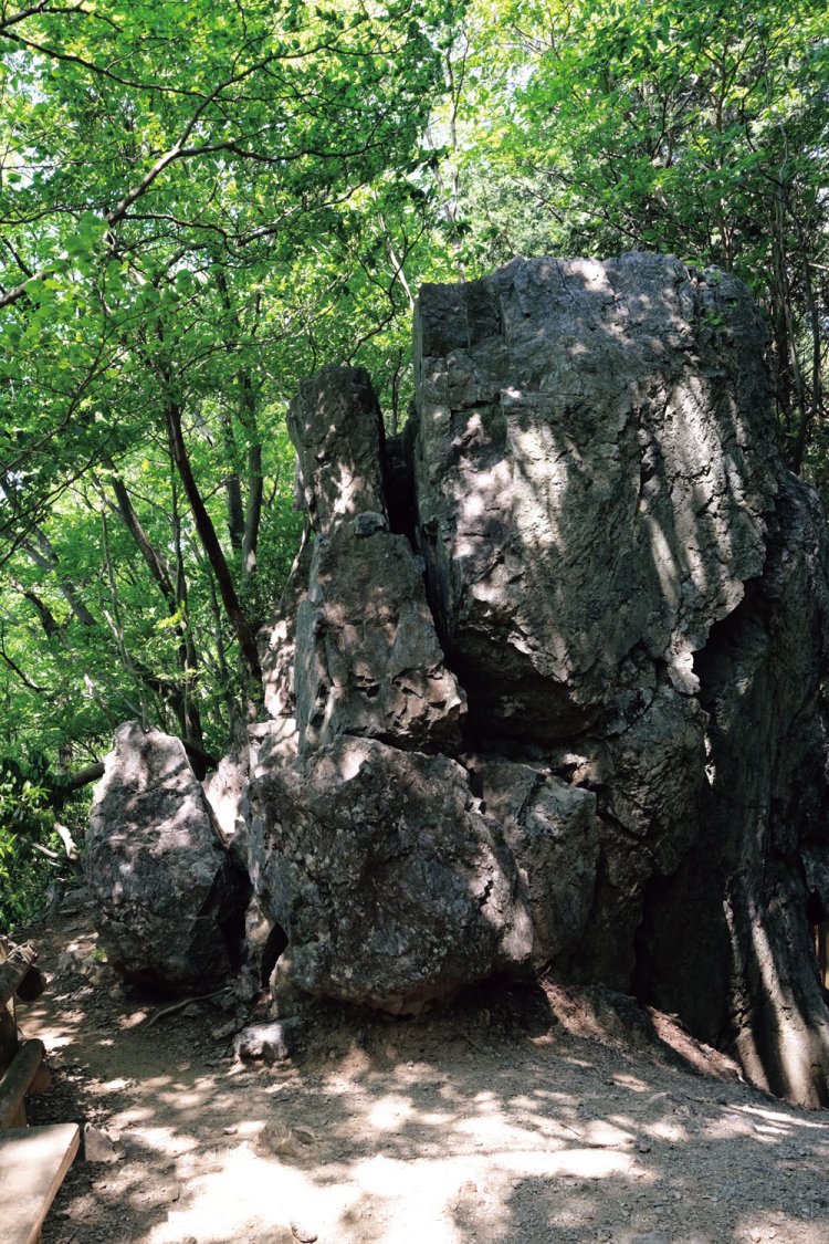 滝ノ平尾根に上がると岩茸石がある。ここから尾根を下れば、さわらびの湯だ。