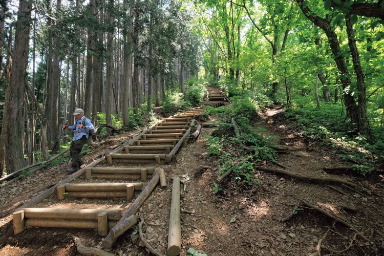 岩茸石からゴンジリ峠まで一直線に階段状の道を上がっていく。勾配はそんなに急ではないが、先が見えるのがつらい。