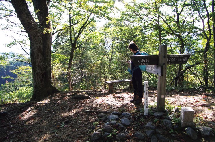 ゴンジリ峠の先に黒山。境界線上の道との分岐があり、そちらからは小沢峠に出られる。