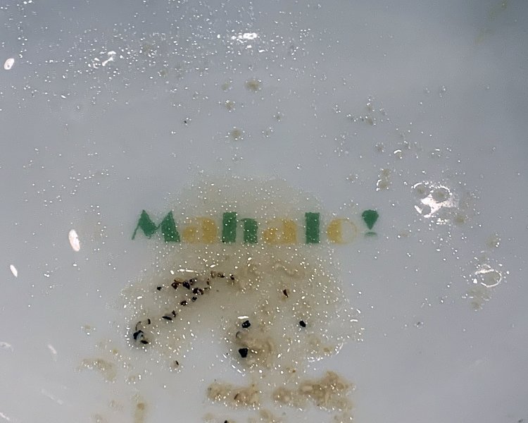 あまりのおいしさから、完食。すると丼には……「Maharo！（ハワイ語で『ありがとう』の意）」が。こうした演出もうれしい。