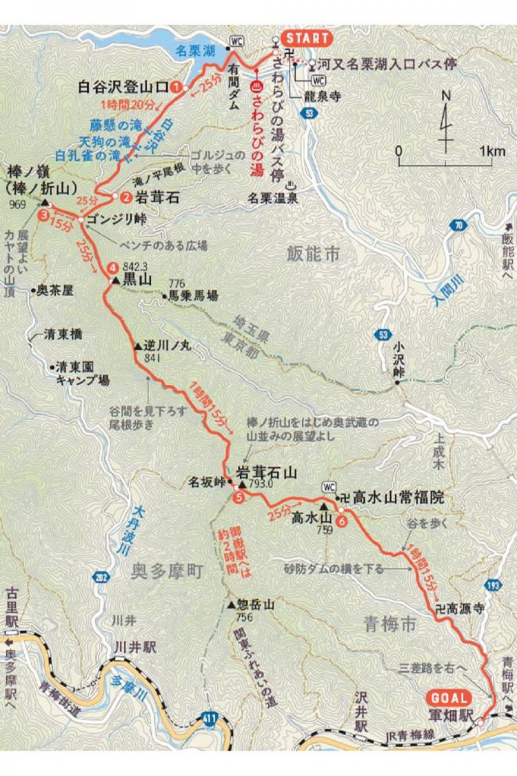 キャプチャ のコピー