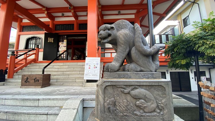 「毘沙門天　善国寺」の狛犬。