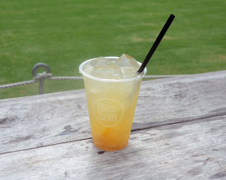 自家製ジンジャーソーダは生姜特有の苦みは一切なく、甘みの強い味わい。