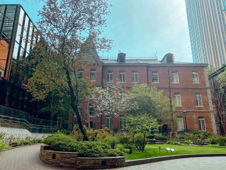 【カメラガールズ】丸の内エリアから有楽町エリアを撮り歩く