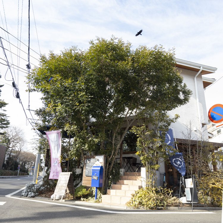 初夏に花咲くトネリコ。