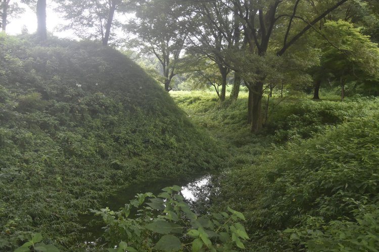 菅谷館は戦国時代に平山城として改修されたため、堀や土塁がよく残されている。