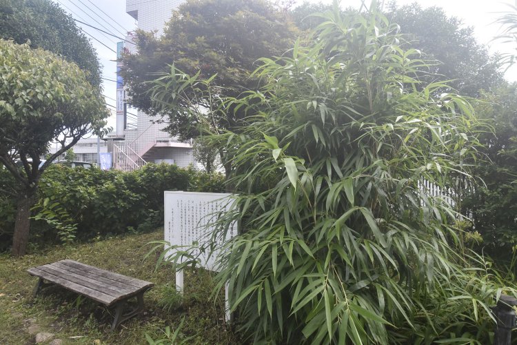 自らの潔白を示したさかさ矢竹の言い伝えを元に、竹も植えられていた。