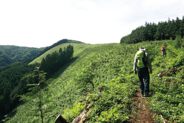 笛吹の先、樹林帯を抜け、丸山に行く途中から展望が開けてくる。笹尾根のこの眺めは大菩薩嶺の尾根歩きにも通じる風景かもしれない。富士山は見えないけれど。