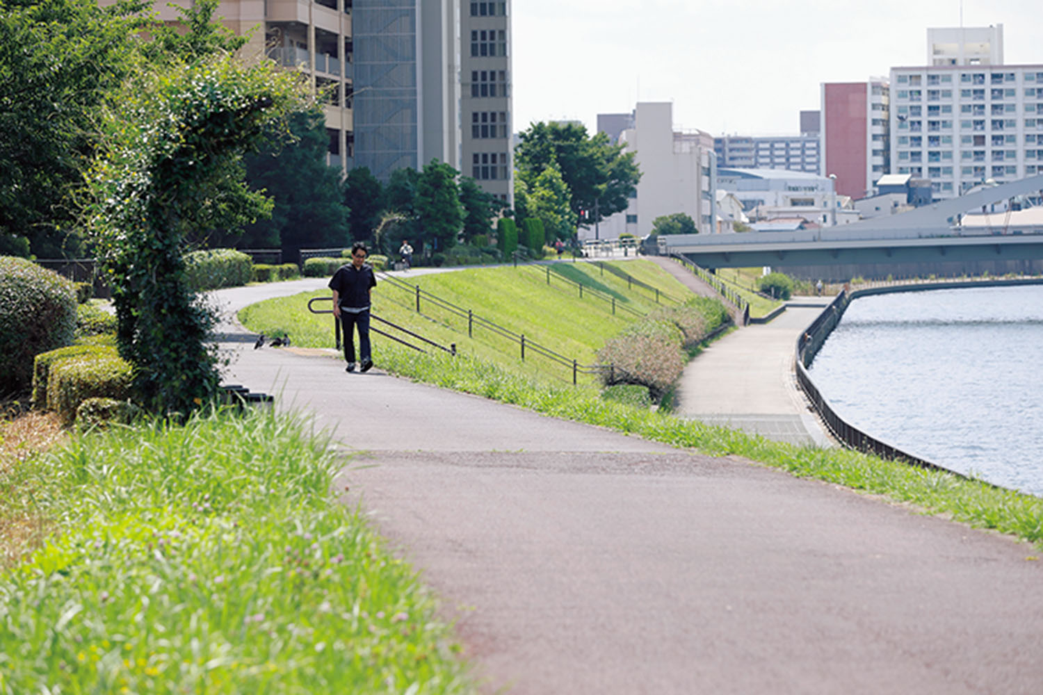 豊島五丁目団地のすぐ裏は隅田川。きれいな遊歩道で散歩する人も多い。