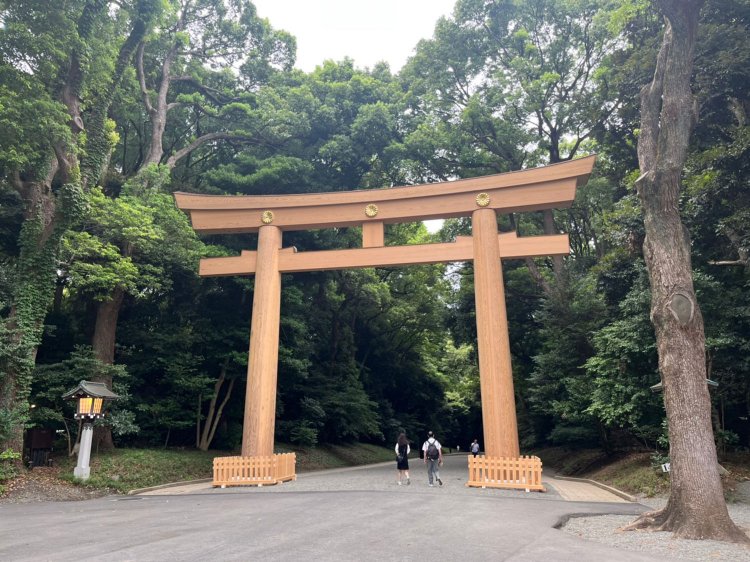 この森が人工だったとは、もはや誰も思わないだろうなー。