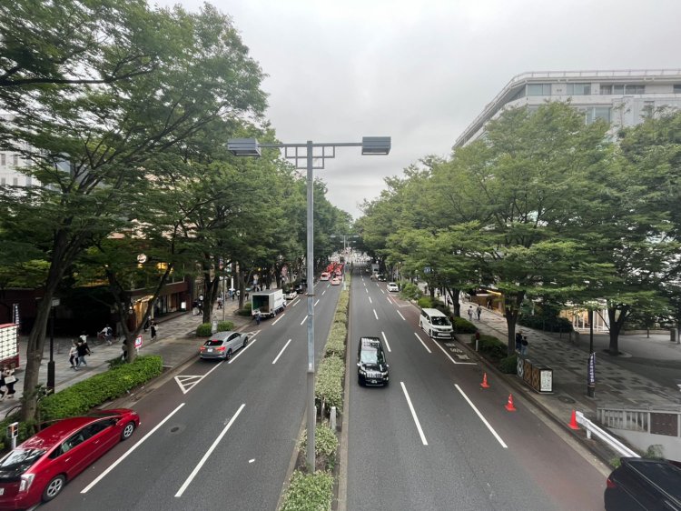 渋谷川はどこへ行ったのか？原宿・青山・神宮外苑の文教地区と風致地区を歩く