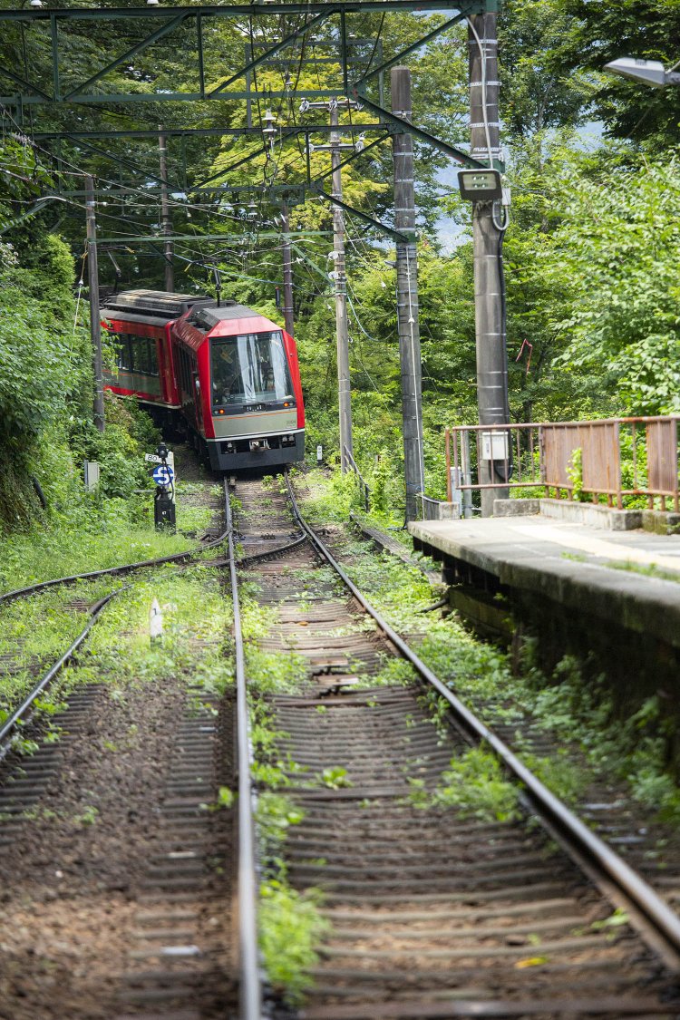 新型車両は緋色や茜色をベースにしたカラー「バーミリオンはこね」。草木の緑に映える。（宮ノ下）