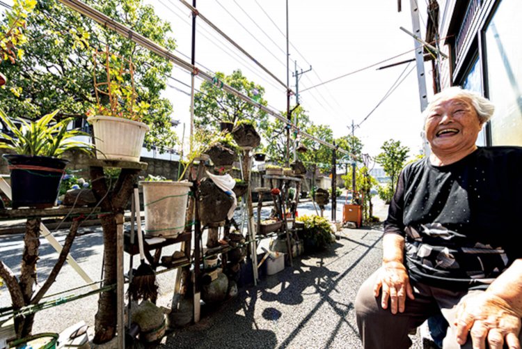 燈明寺横、旧中川に至る坂道で異彩を放つ軒先庭園。名うての大工だったご主人の後を継ぎ、道の両側の草花の手入れをひとり続ける手塚のお母さん。「花の盛りに来てよ！」