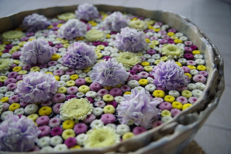 水に浮かんだ色鮮やかな花が美しい『花手水』。