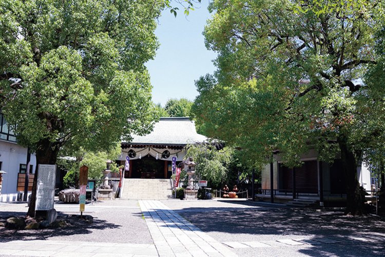 亀戸香取神社　全景