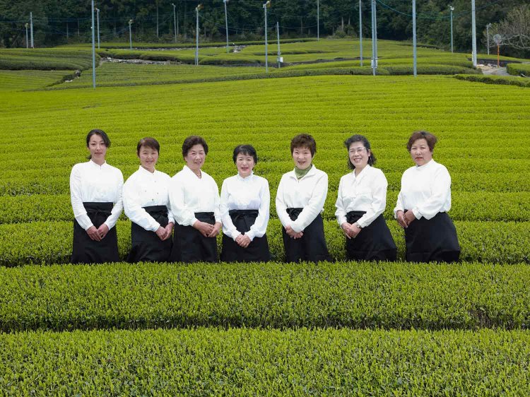 池川茶園のメンバーは全員茶農家の女性たち。（画像提供：池川茶園）