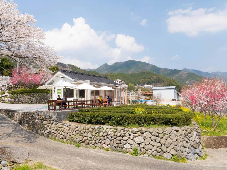 （画像提供：池川茶園）