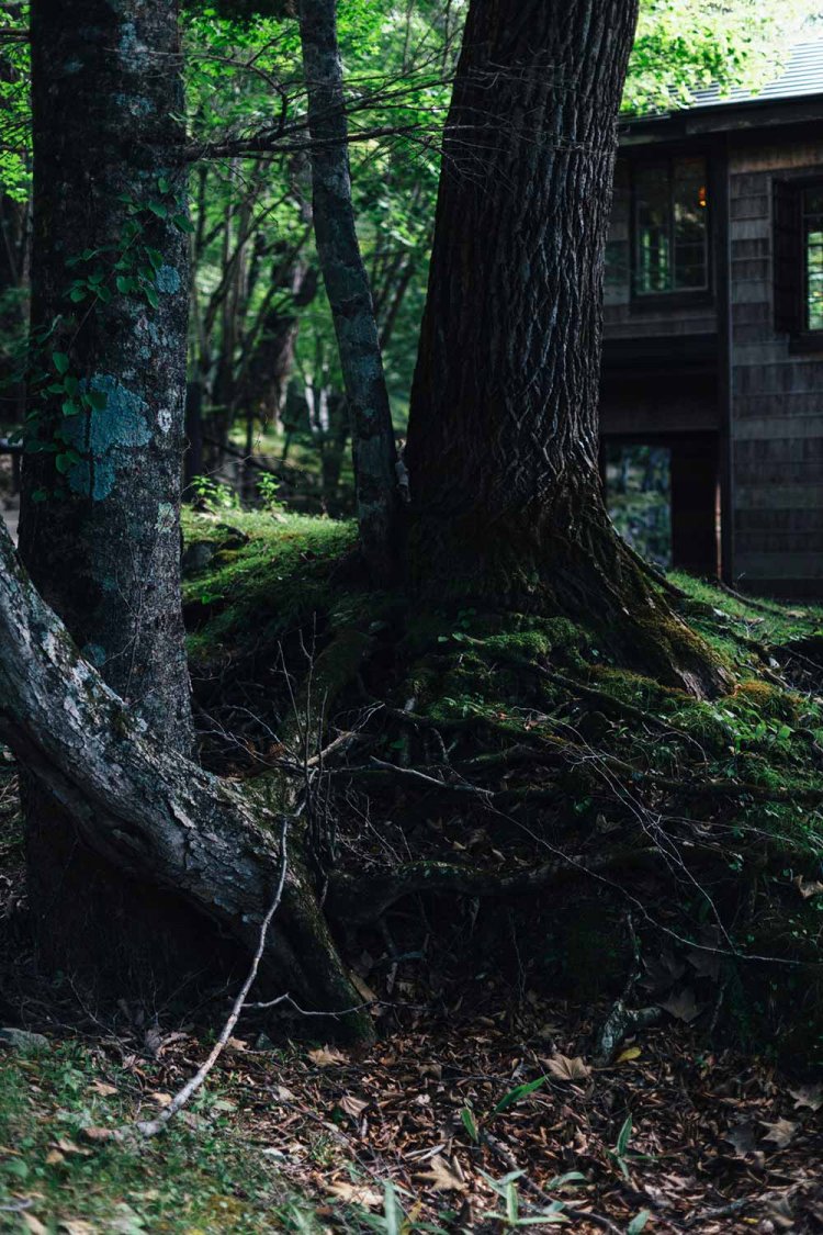 【カメラガールズ】イタリア大使館別荘記念公園
