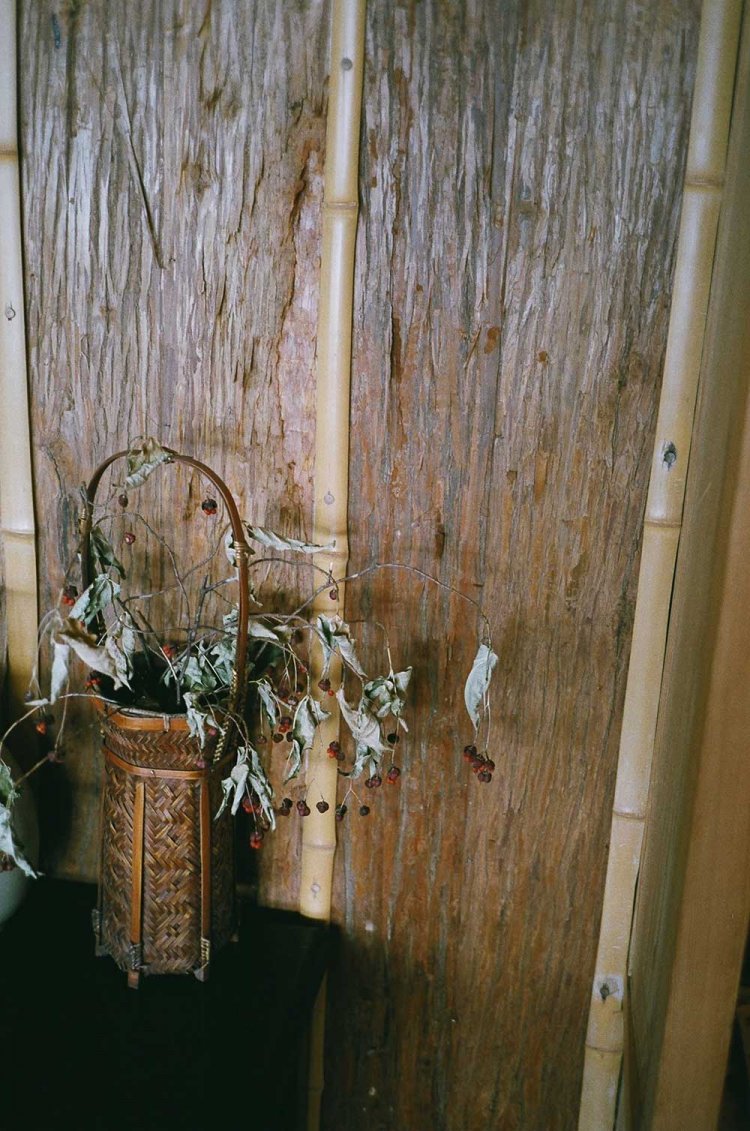 【カメラガールズ】イタリア大使館別荘記念公園