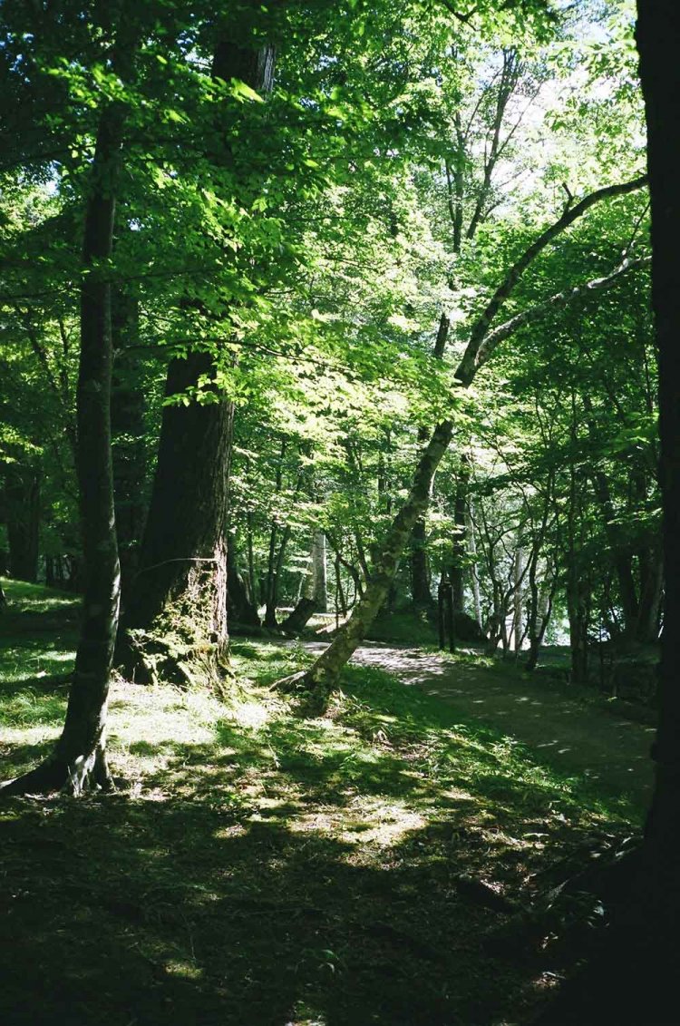 【カメラガールズ】イタリア大使館別荘記念公園