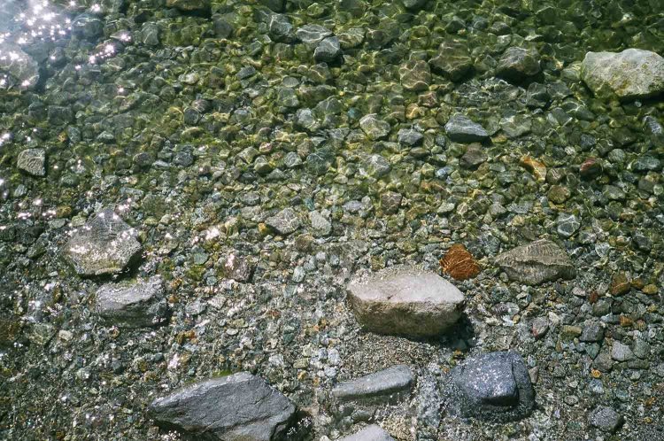 【カメラガールズ】イタリア大使館別荘記念公園