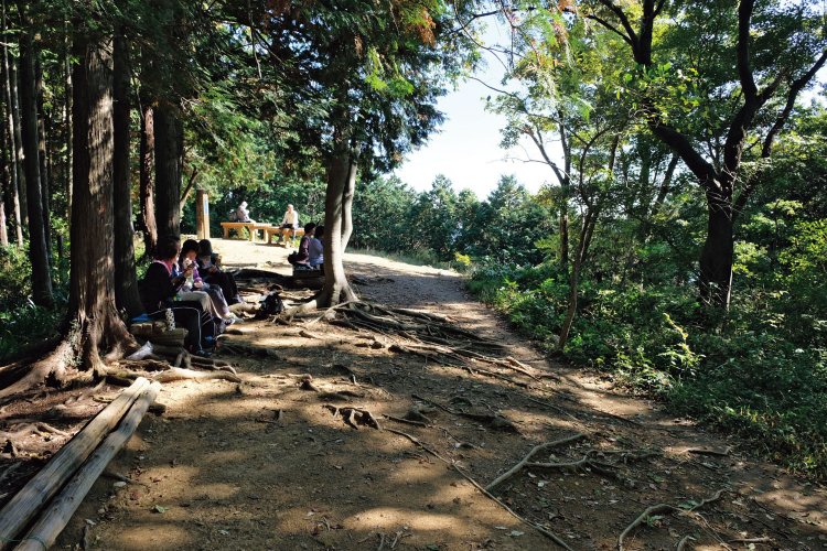標高375ｍの物見山の山頂。日高市と毛呂山町との境界にある。山頂にはベンチのようなものはあるが、ないのは展望だけ。