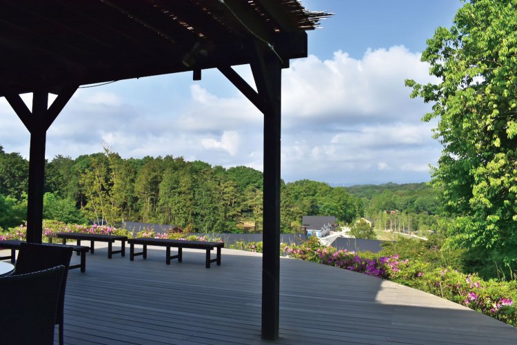 眺望のいいテラス。レストランも併設。