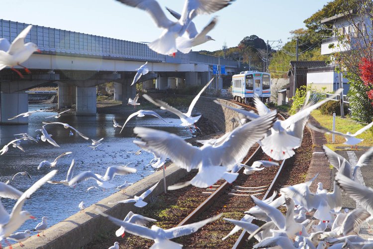 写真提供＝天竜浜名湖鉄道