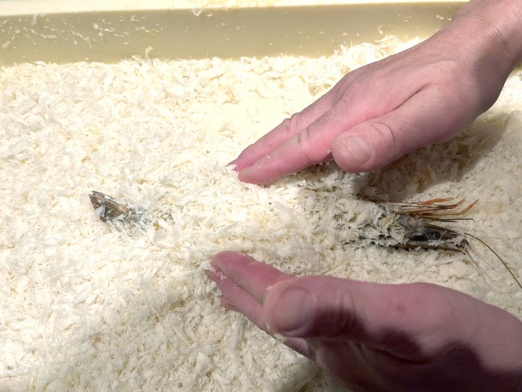 やや細かいパン粉がエビフライ用。ヒレカツなど肉類のカツには粗めのパン粉を使う。