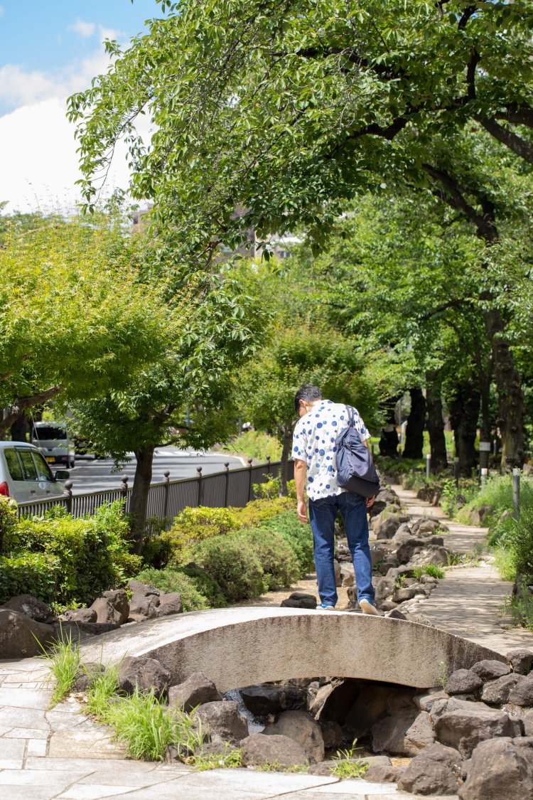 播磨坂の中央、緑いっぱいの細長い公園は憩いの場。桜の季節にぜひ！