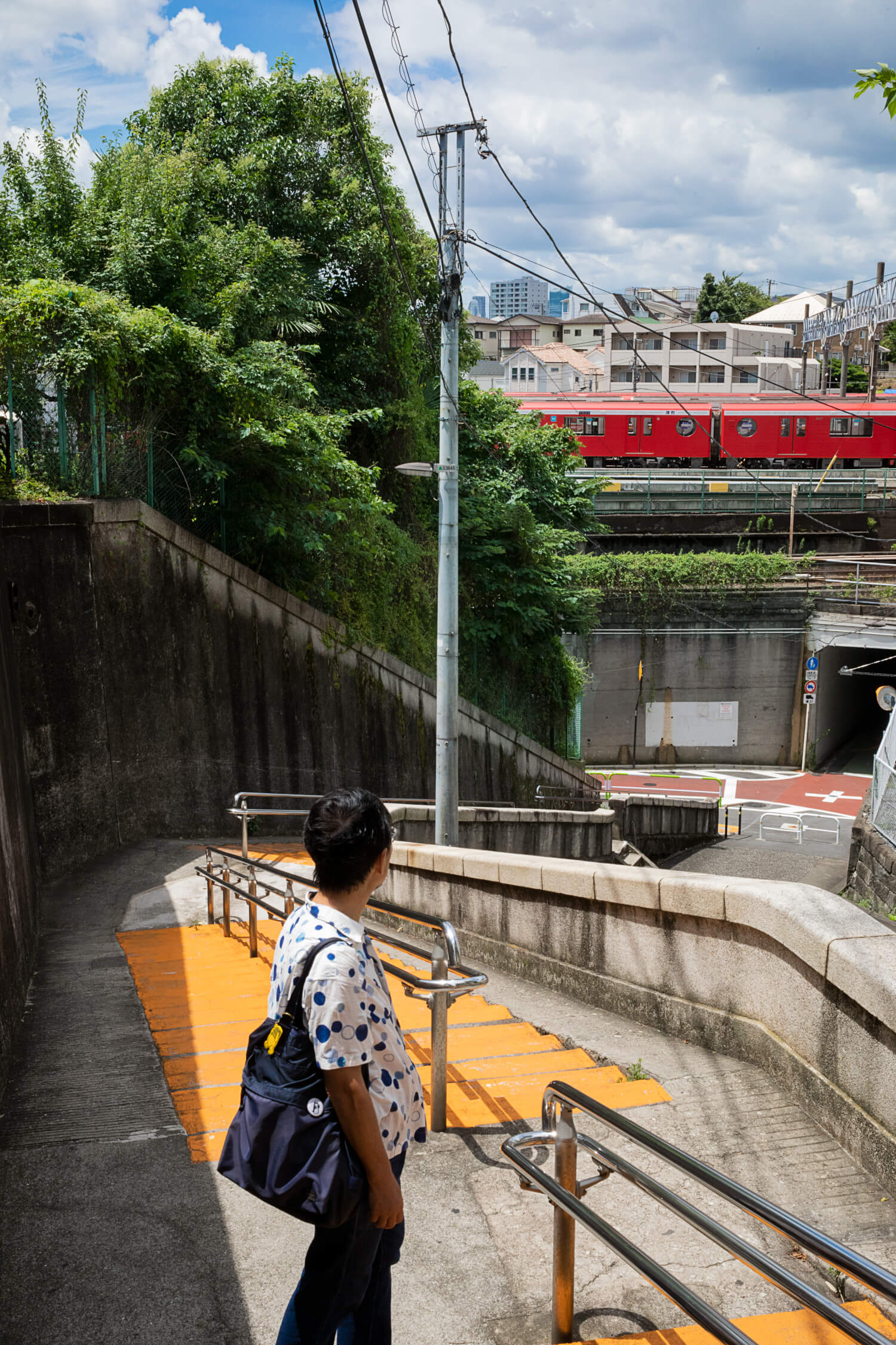 切り通しから覆いかぶさる緑と、高架を走る地下鉄の赤。庚申坂の絶景に立ち尽くす。