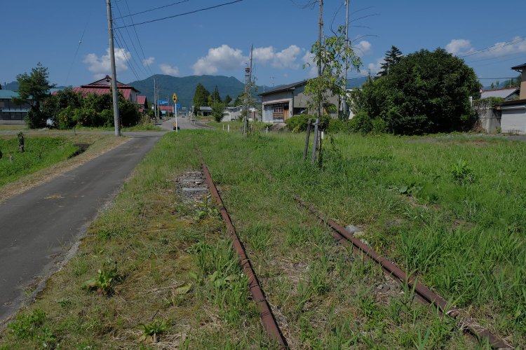 緑地帯のレール。新たに設置したというよりは、廃線になってもそのまま残されていたような雰囲気がする。枕木の状態とか、バラスト（砂利）の細かさとか……。