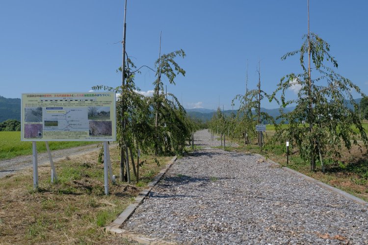 整備されたばかりの遊歩道。看板も新しい。こうして足跡を辿れるのは嬉しい。春と秋の心地よい陽気ならば全線歩けそうだ。