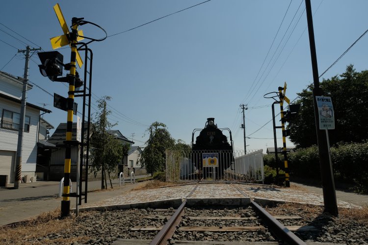 踏切内どころか線路内！　緊急停止されるがな。というような構図でC11 63号機とご対面。レールだけでなく踏切も展示しており、住宅地をC11形が走行している雰囲気がじゅうぶんある。