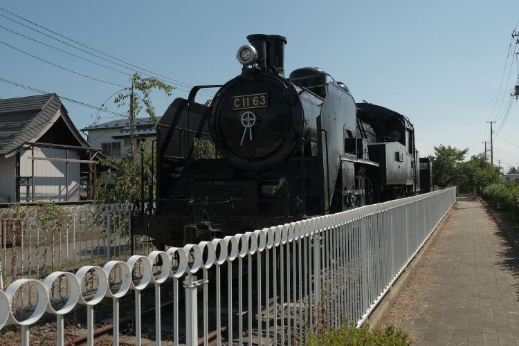 柵があるのは仕方ないが、線路脇の柵と思えばリアルに走ってくるように見えてくる。